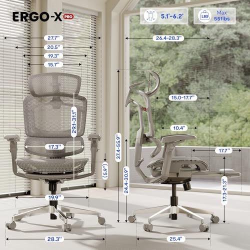 Flexispot ErgoX Pro Vs Flexispot ErgoX Max