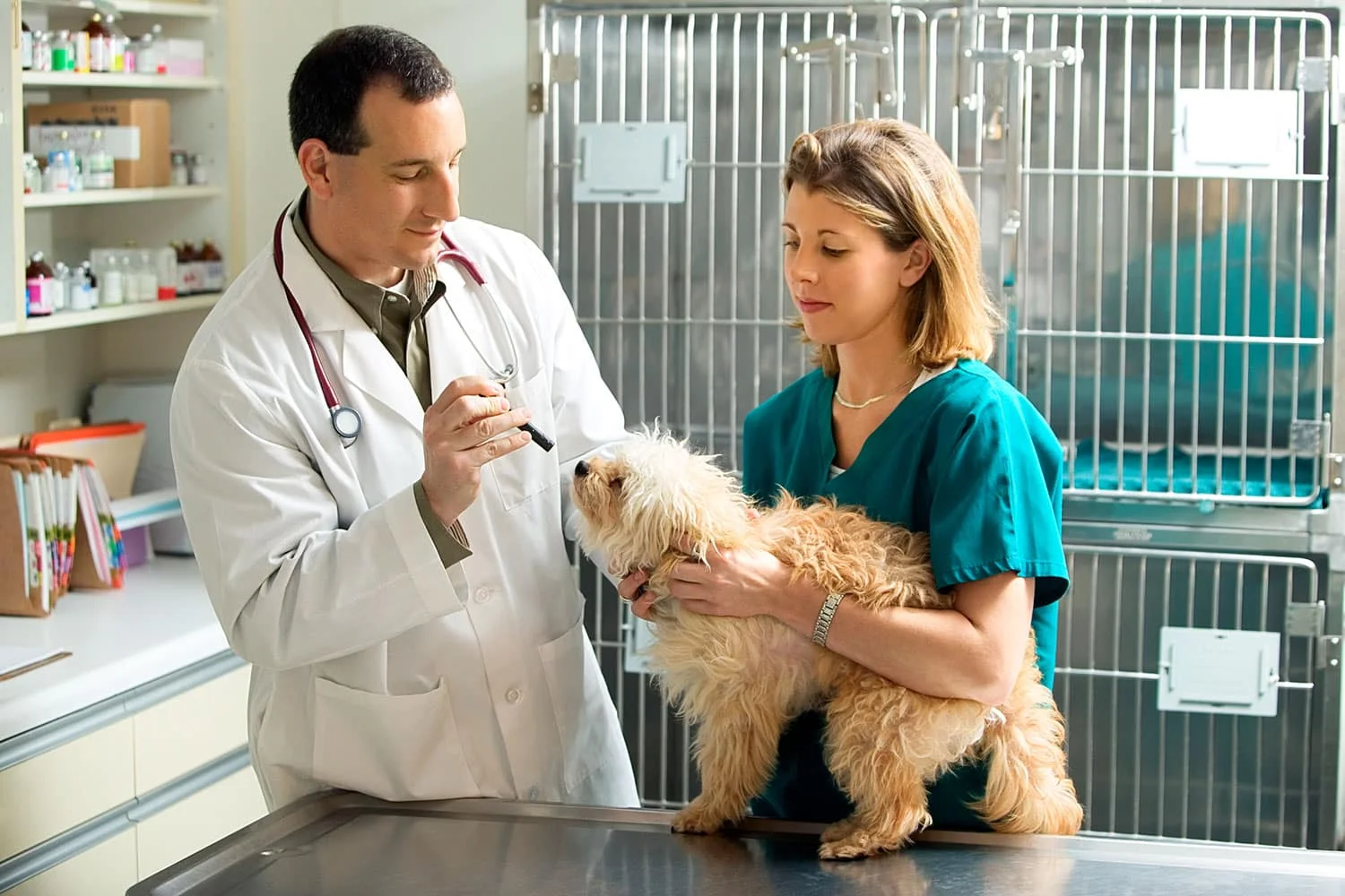 What Is Vet Technology