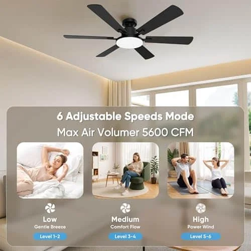 Best 52 Inch 6 Blade Ceiling Fan
