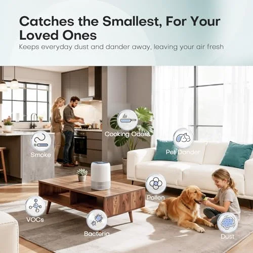 Best Air Purifier For Under $300
